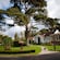 A house with a landscaped yard, including a large tree and a stone walkway
